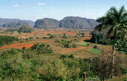 Vinales: One of the most worldwide-recognized views of Cuba. 
